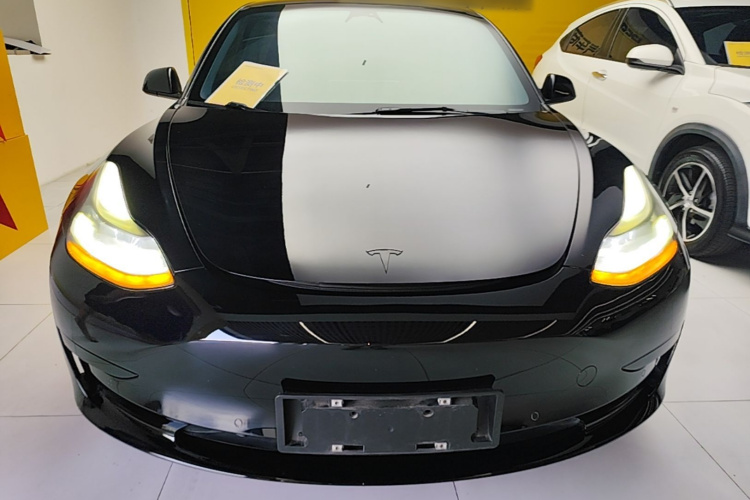 Tesla Model 3 2022 изображение автомобиля #3
