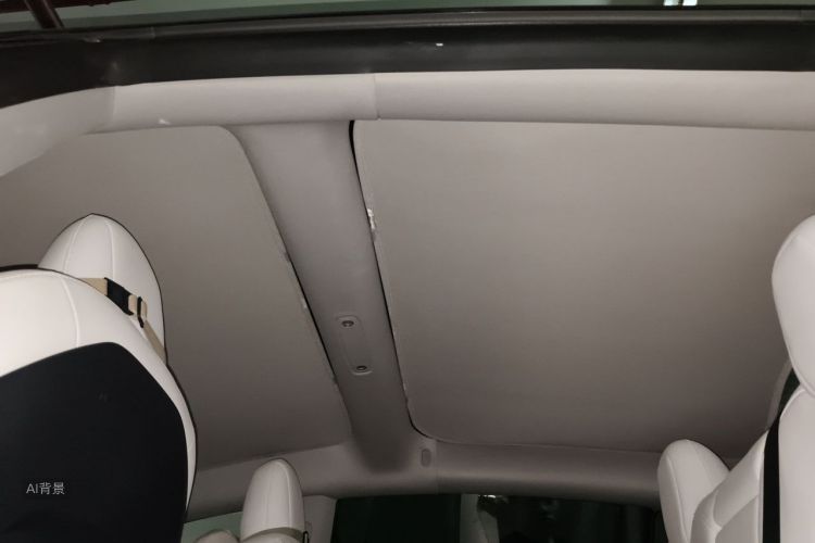 Tesla Model 3 2021 immagine di auto #20