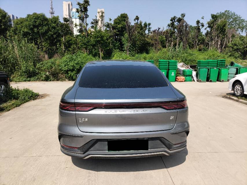 比亚迪 汉 2023 汽车图片 #8