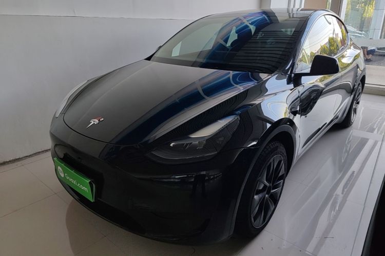 Tesla Model Y 2024 car image #2