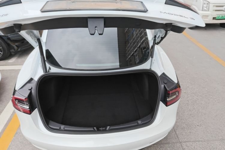 Tesla Model 3 2021 car image #19