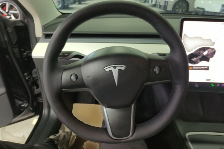 Tesla Model 3 2021 #11 Tesla Model 3 2021 car image #11