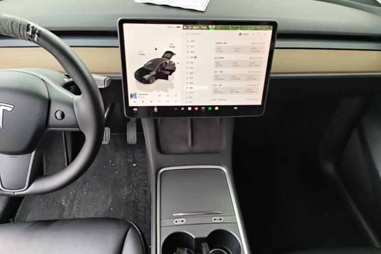 Tesla Model Y 2022 car image #13