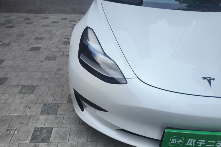 Tesla Model 3 2021 immagine di auto #8