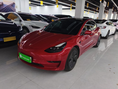 Tesla Model 3 2021 Tesla Model 3 2021 car image