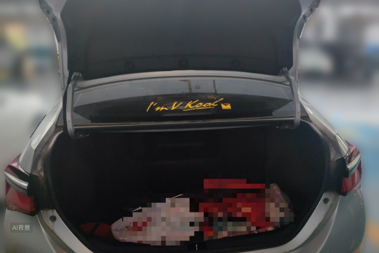 Toyota Corolla 2018 car image #21