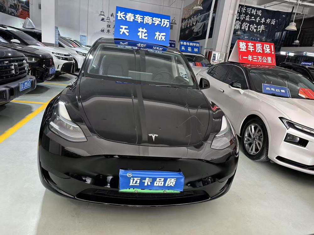 Tesla Model Y 2023 #2 Tesla Model Y 2023 car image #2