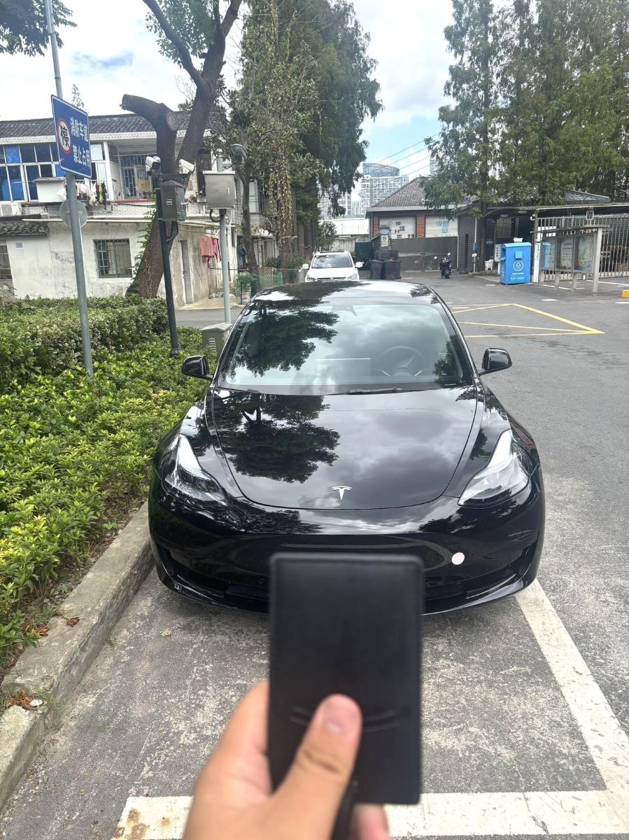 Tesla Model 3 2023 car image #5