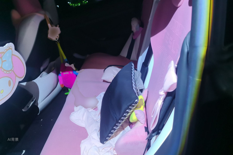 Tesla Model 3 2022 car image #19