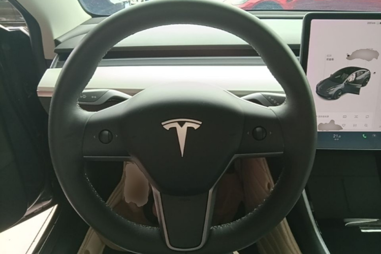 Tesla Model 3 2020 car image #11