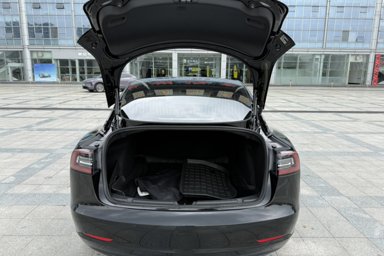 Tesla Model 3 2020 car image #24