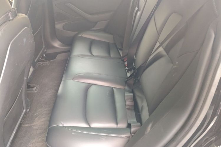 Tesla Model 3 2020 car image #13