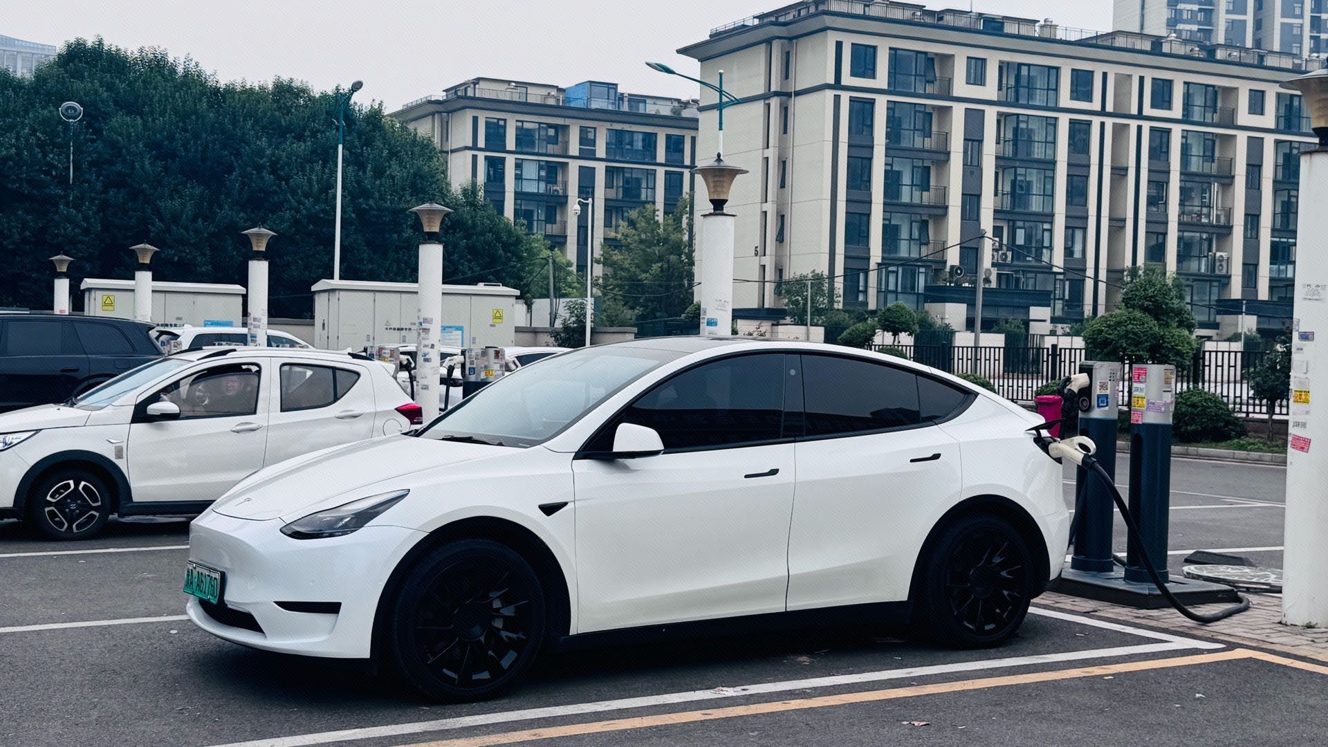 Tesla Model Y 2021 Tesla Model Y 2021 car image