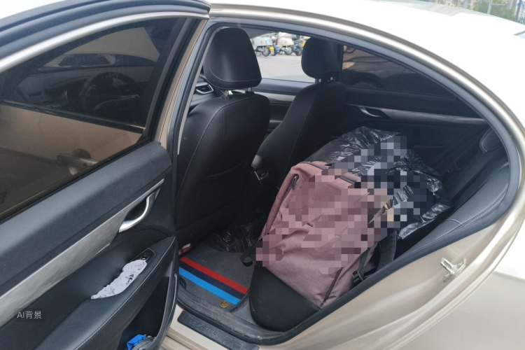 GEELY Emgrand 2020 image de voiture #19