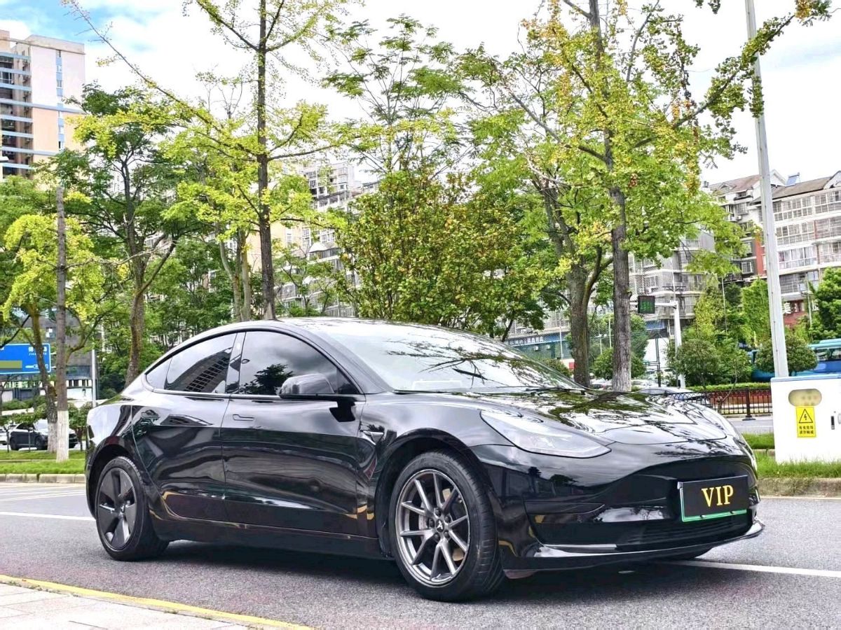 Tesla Model 3 2022 #3 Tesla Model 3 2022 car image #3