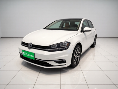 Volkswagen Golf 2019 Volkswagen Golf 2019 car image