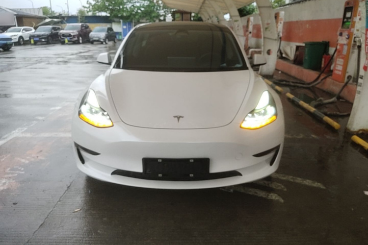 Tesla Model 3 2022 #3 Tesla Model 3 2022 car image #3