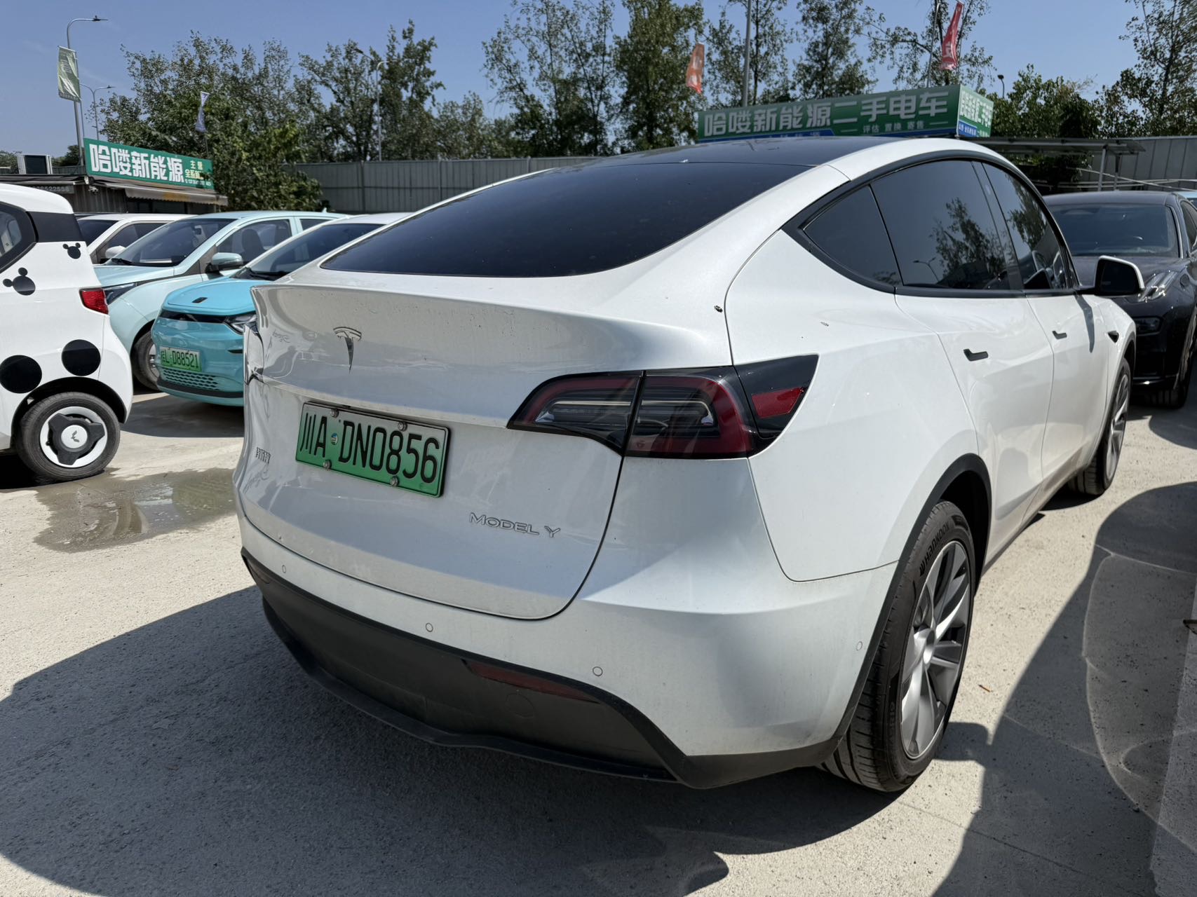 Tesla Model Y 2021 #9 Tesla Model Y 2021 car image #9