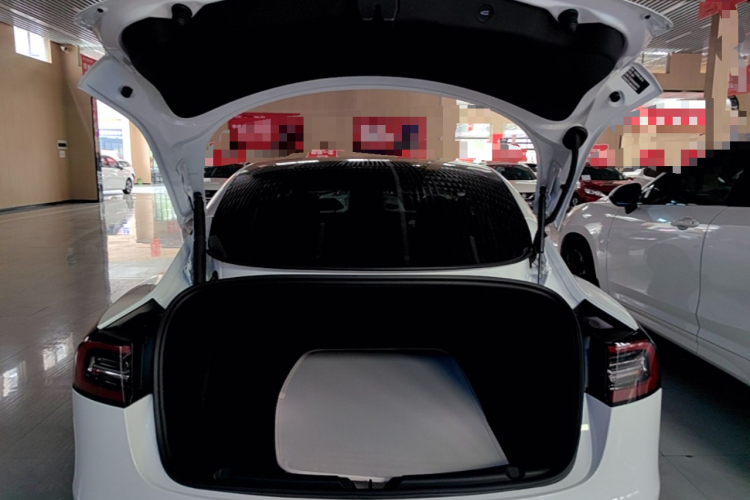 Tesla Model 3 2021 car image #21