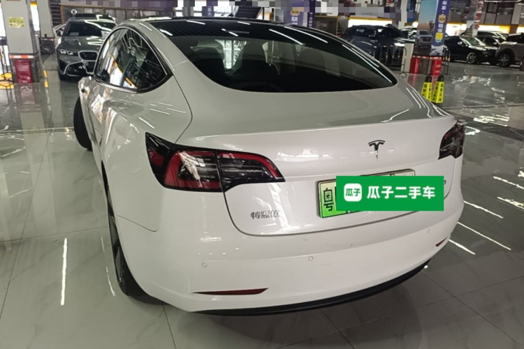 Tesla Model 3 2021 #5 Tesla Model 3 2021 car image #5