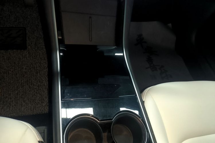 Tesla Model 3 2020 #14 Tesla Model 3 2020 car image #14