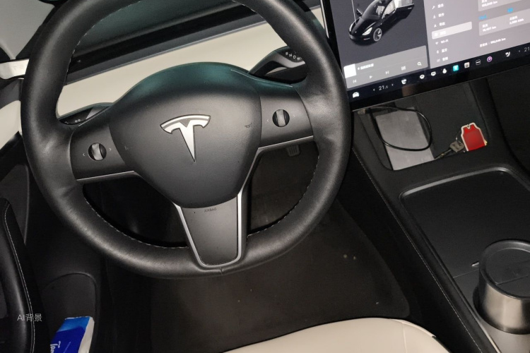 Tesla Model 3 2021 immagine di auto #12
