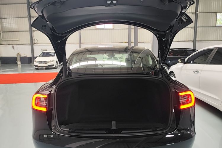 Tesla Model 3 2022 #19 Tesla Model 3 2022 car image #19