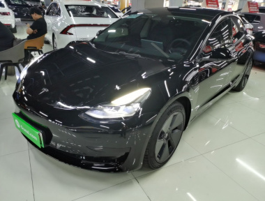 Tesla Model 3 2021 Tesla Model 3 2021 car image