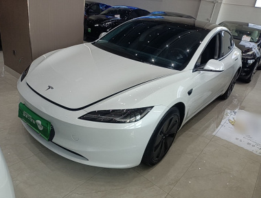 Tesla Model 3 2024 Tesla Model 3 2024 car image