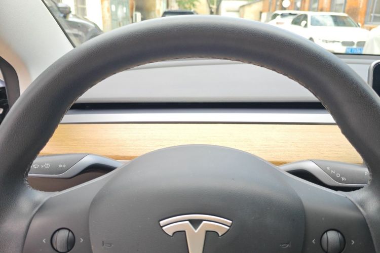 Tesla Model 3 2020 car image #16
