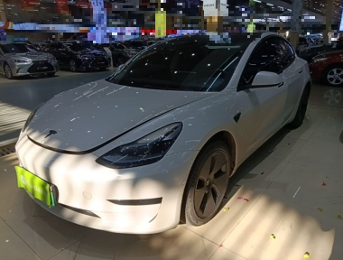 Tesla Model 3 2022 Tesla Model 3 2022 immagine di auto