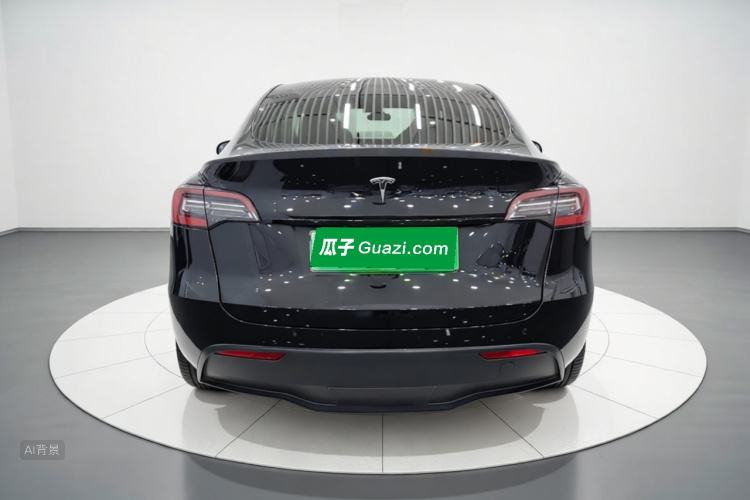 Tesla Model Y 2021 car image #6