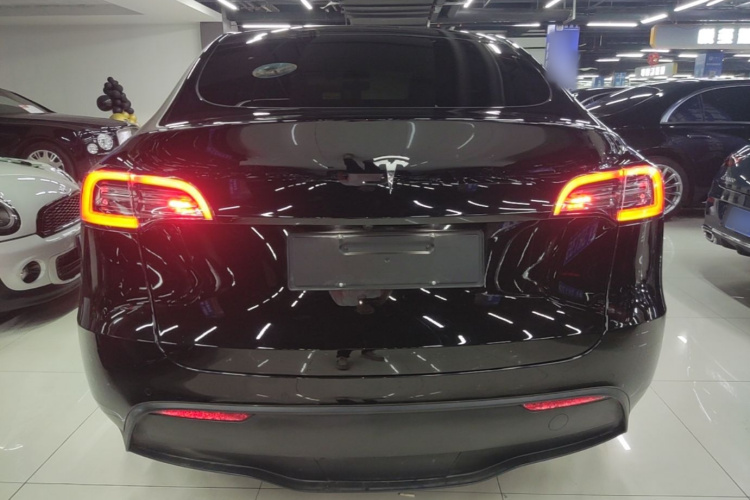 Tesla Model Y 2021 car image #6