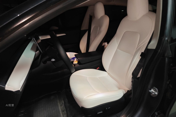 Tesla Model 3 2022 car image #17