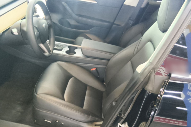 Tesla Model 3 2021 #15 Tesla Model 3 2021 immagine di auto #15