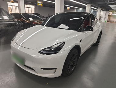 Tesla Model Y 2024 car image 