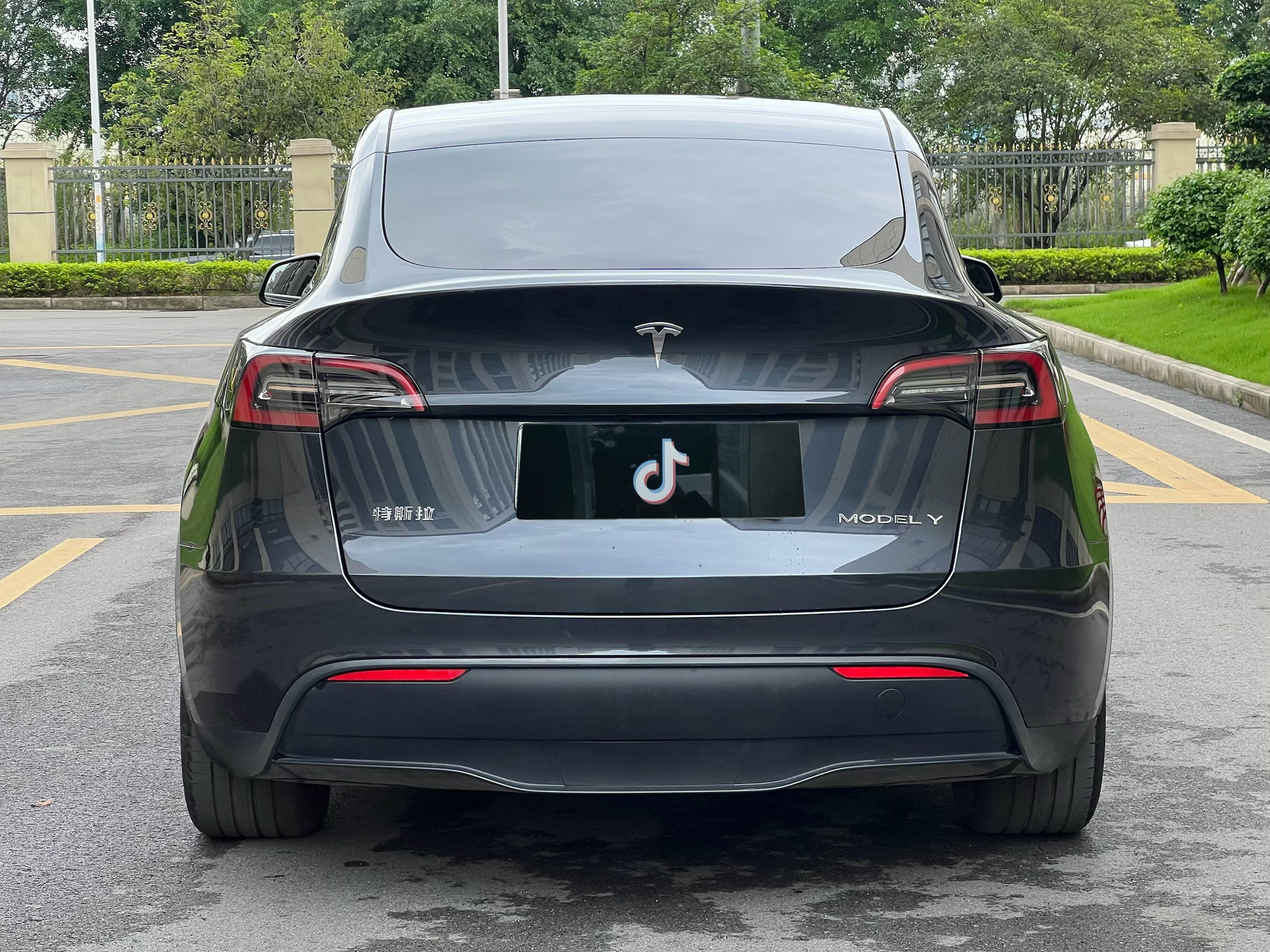 Tesla Model Y 2024 #14 Tesla Model Y 2024 car image #14