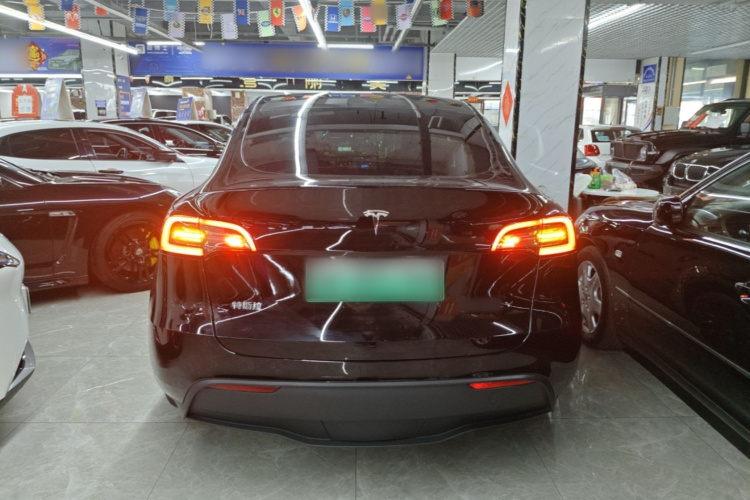 Tesla Model Y 2023 #6 Tesla Model Y 2023 car image #6