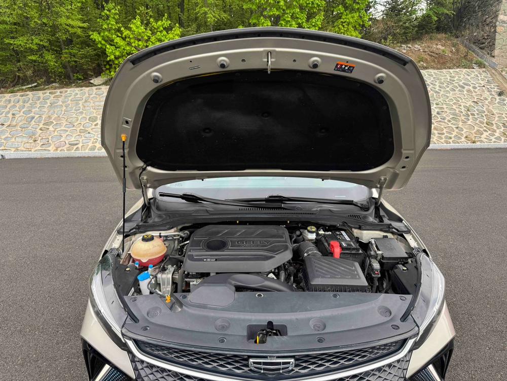 GEELY Emgrand L 2021 imagem de carro #7