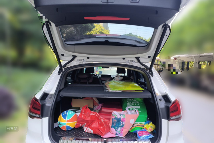 BMW X1 2021 car image #21
