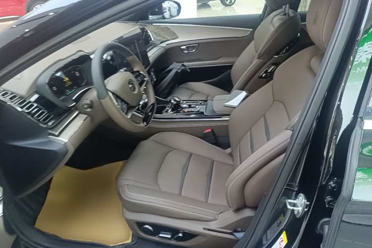 BYD Han 2020 car image #19