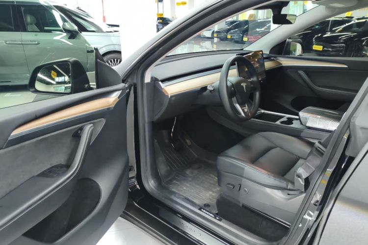 Tesla Model Y 2021 car image #12