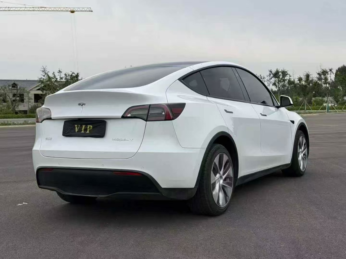 Tesla Model Y 2021 car image #7