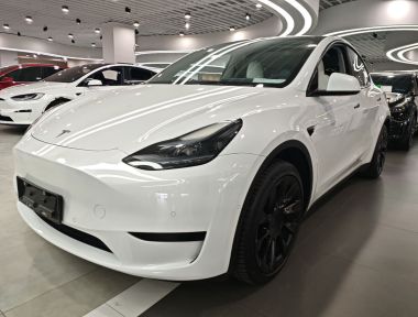 Tesla Model Y 2023 Tesla Model Y 2023 immagine di auto