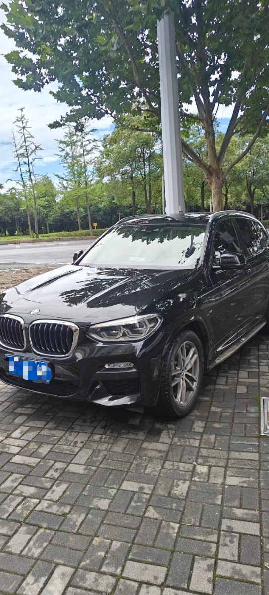 BMW X3 2018 BMW X3 2018 car image