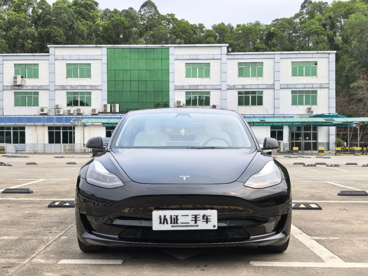 Tesla Model 3 2021 #2 Tesla Model 3 2021 car image #2