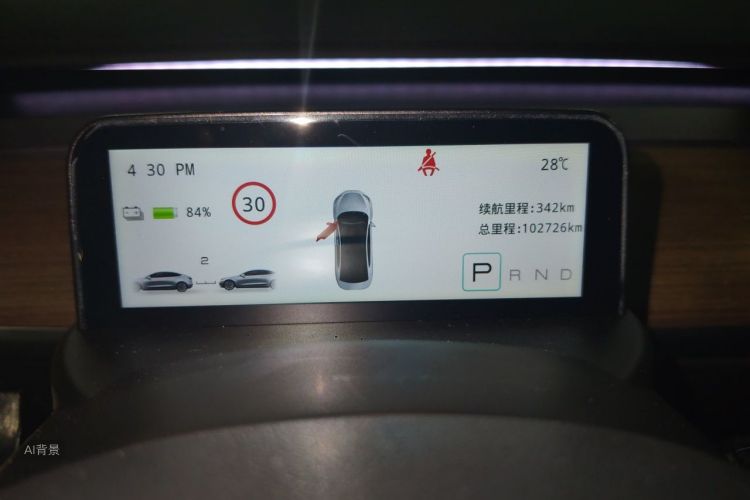 Tesla Model Y 2023 #14 Tesla Model Y 2023 car image #14
