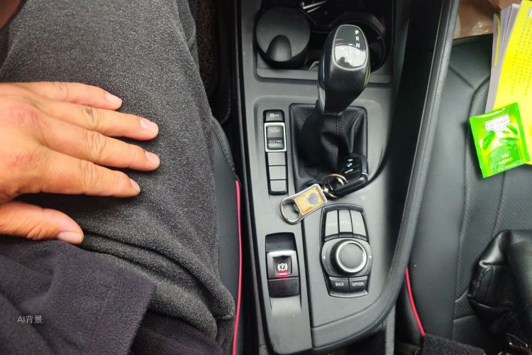 BMW X1 2016 image de voiture #16