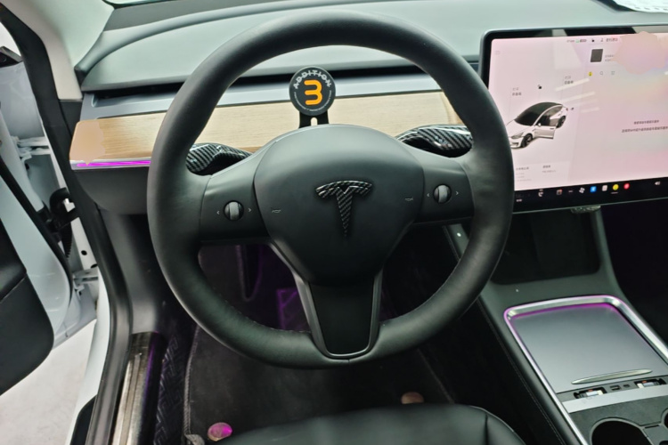 Tesla Model 3 2021 #11 Tesla Model 3 2021 car image #11