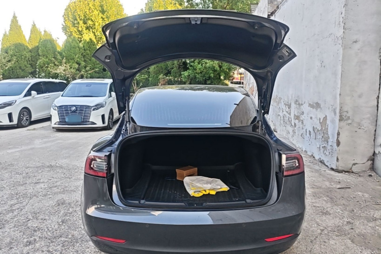 Tesla Model 3 2020 #19 Tesla Model 3 2020 immagine di auto #19